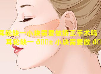 耳轮缺一小块需要做矫正手术吗「耳轮缺一 🐱 小块需要做 🐈 矫正手术吗多少钱」